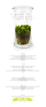 A Guide To Happy Moss Moss Love Terrariums Blog Moss Terrarium Care Terrarium Moss Closed Terrarium Plants