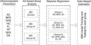 efficient fetal size classification combined with artificial