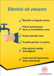 Ama bu temizlik malzemelerini evde yapabilmenin birçok kolay yolu var. Corona Virus Hakkinda Sik Sorulan 25 Soru Saglik Bakanligi Acikladi Saglik Haberleri Ntv