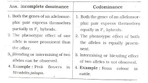 Type a, type b, type ab, and type o. Incomplete Dominance And Codominance