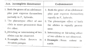 Codomiance in genetics refers to: Incomplete Dominance And Codominance