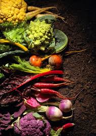 Epingle Par Celine Lemay Sur Styliste Culinaire Art Et Cuisine Stylisme Culinaire Fruits Et Legumes