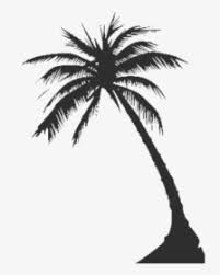 The source also offers png transparent images free: Coconut Tree Images Png Images Transparent Coconut Tree Images Image Download Pngitem