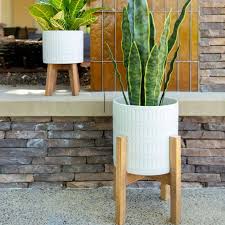 Ornamental pots and pots for large trees available. 15 Best Places To Buy Planters Online Apartment Therapy