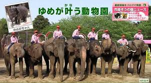 ■高滝駅より無料送迎予約 小湊鐵道 高滝駅から市原ぞうの国＆サユリワールドへの無料送迎バスになります。 経路：高滝駅→サユリワールド→市原ぞうの国 千葉県市原市山小川937. å¸‚åŽŸ ãžã† ã® å›½