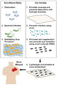 Image result for Wound Repair