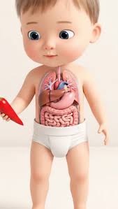 Kids Eating Junk Food Affect Body Cartoon