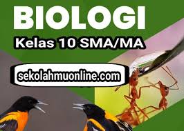 Latihan soal pilihan ganda dalam pembelajar mata kuliah epidemiologi kebidanan by anna0andhita 20 Soal Pilihan Ganda Jawabannya Biologi Kelas 10 Bab 1 Ruang Lingkup Biologi Sekolahmuonline Com Sekolahmuonline