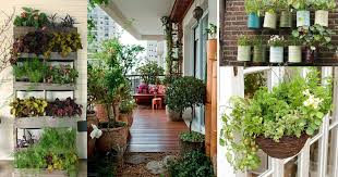 These ideas don't just create a beautiful balcony garden; How To Create A Balcony Garden Blending News