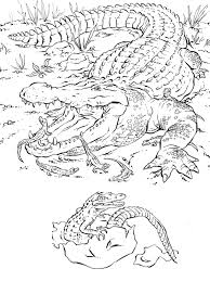 Get alphabet coloring pages of animals with letters too! Realistic Animal Coloring Pages Free