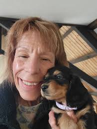 Donna's House of Dachshunds