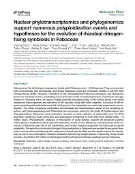 Image result for Decorsea schlechteri