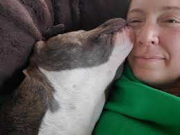 Adopting a sweet little pup named Maury