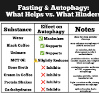 Does MCT oil reduce autophagy during a 72-hour fast?