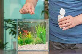 Can You Add Too Much Bacteria To A Fish Tank