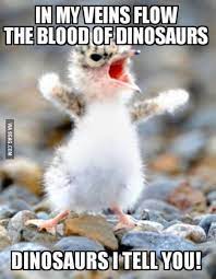 I M Going To Hang This On The Wall For My Kid To Learn About Bird Evolution Cute Animals With Funny Captions Funny Animal Jokes Funny Animals With Captions