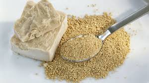 what is torula yeast and how is it used