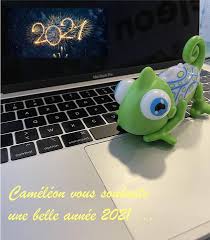 Cameleon Graphique Advertising Marketing Thaon Les Vosges Lorraine France Facebook 83 Photos