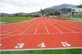 Domain Athletic Centre City Of Hobart Tasmania Australia