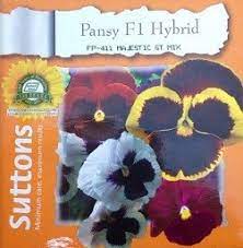 Pansy Flower Seeds Online India Best Flower Wallpaper