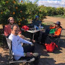 Ingin bekerja sebagai pemetik buah di australia? Kerja Di Kerja Di Australia Petik Buah Dan Kilang Facebook