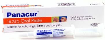 panacur paste for dogs cats