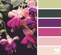 Fuchsia Palette Design Seeds Colour Pallete Color