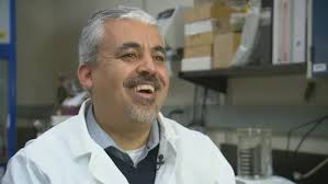 Super sponge' seen as absorbent next step in oil spill mitigation