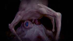 Half-life Headcrab 2monsters 16:9 - Lewd.ninja