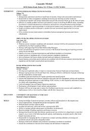 Operations Manager Resume Sample India Hr Bank Example Warehouse ...