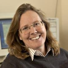 Shoham Geva (@sageva_)