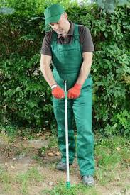 Der Pfahlwurzelstecher Ratgeber Unkrauter Mit Pfahlwurzel Garten