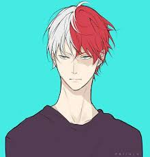 Image De Anime Blue Eyes And Red Hair Hero Red Hair Anime Guy My Hero Academia