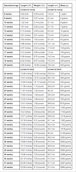 12 True Average Baby Size And Weight Chart