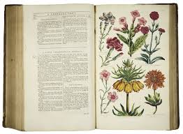 Always and forever flower bears 7/11. Antiquariaat Junk Zvab