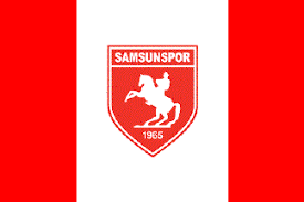 Samsunspor is a turkish professional football club located in the city of samsun. Samsun Metropolitan Municipality Turkey