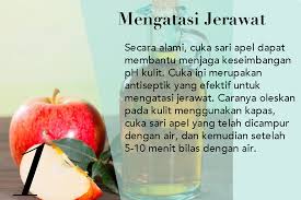 Cuka cider epal digunakan untuk merawat semua jenis ketuat. Wow Inilah 5 Manfaat Terbaik Dari Cuka Apel Untuk Kulit Wajah
