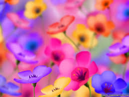 Tulips colorful flowers hd wallpaper | tulips colorful flowers hd wallpaper 1080p, tulips colorful flowers hd wallpaper desktop, tulips colorful flowers hd wallpaper hd, tulips colorful flowers hd wallpaper iphone. Free Download Colorful Flowers Wallpaper 1024x768 4865 1024x768 For Your Desktop Mobile Tablet Explore 62 Colorful Flower Background Beautiful Colorful Flowers Wallpaper