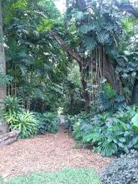 Fairchild Gardens Beautiful Islands Garden Landscape