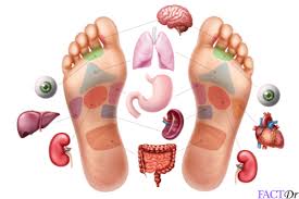 Reflexology Chart For Foot Hands Foot Massage Benefits