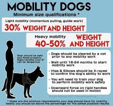 Premium services (such as training and professional grooming) tend to be available at an additional cost when requested. Task Training Teaching The Bracing Stand Robbie A Crps Service Dog