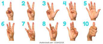 Sign Language Numbers 110 Deaf Fingerspelling Stock Illustration 1516422518