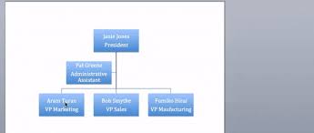 Company Structure Flow Chart Hierarchical For Levels Of Flow