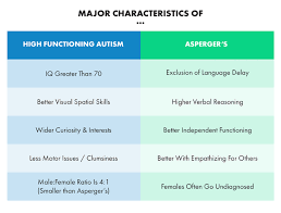 What Is High Functioning Autism