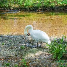 This image is too good...