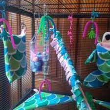Sugar gliders have quickly become a popular pet. 27 Homemade Sugar Glider Toys Ideas Sugar Glider Toys Sugar Glider Glider Toys