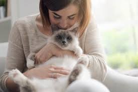 If it smells yeasty or foul, especially if there is an accompanying discharge, that's a good clue that he needs an inspection. Why Do Cats Smell Good
