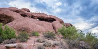 We did not find results for: Phoenix In Arizona Mein Guide Hotels Top Sehenswurdigkeiten 2021