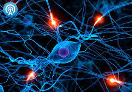 About 75% of patients have a history of preceding infection. Sindrome De Guillain Barre Pagina 2 Articulos Intramed