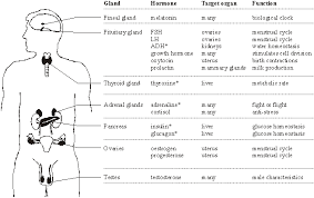 i want flow chart or summary on hormones in animals